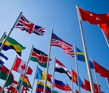 Elite IB: How to Choose Good IB Tutor for Study